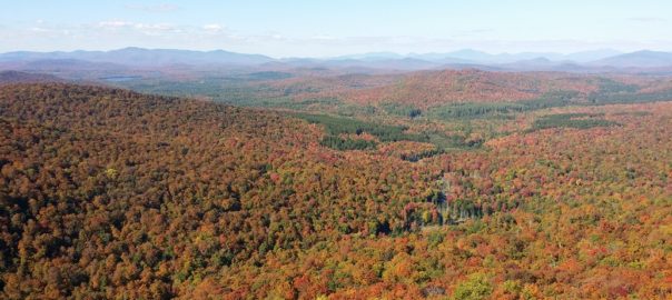 North from Chimney